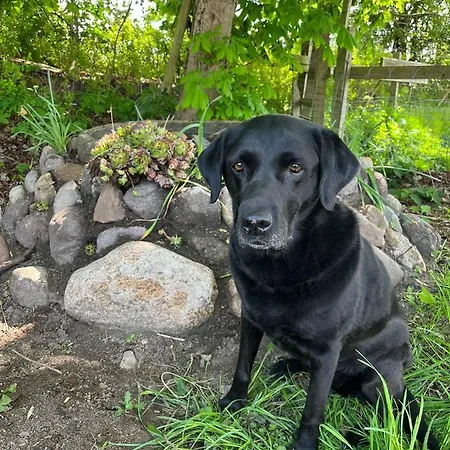 „de Fofftein“ In Bockhoeft *